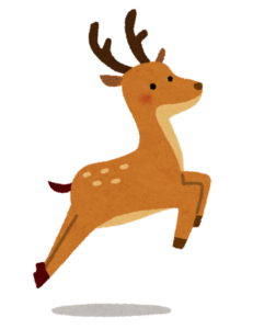 店長ブログ（鹿肉の思い出編）