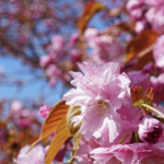 投稿に間が空いて