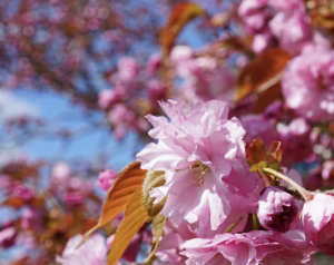 投稿に間が空いて